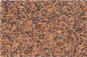 Nuber Aquarienkies Afrika 1-1,8mm 5kg