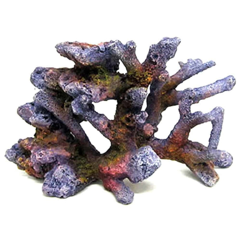 AMTRA REEF ROCK BRANCH SERIE SM 2
