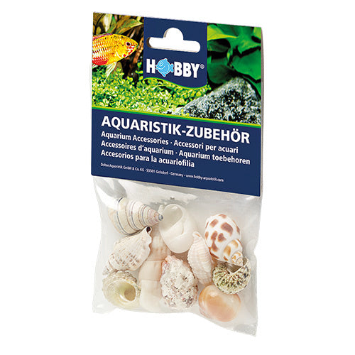 Hobby Sea Shells Set M