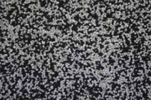 Nuber Aquarienkies Schwarz Weiss 2-3mm 5kg