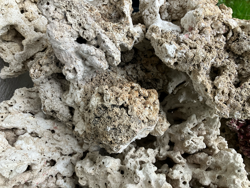 Totes Riffgestein Premium 1kg