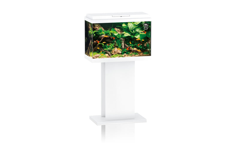 Juwel Primo 70 Aquarium weiß Kombination