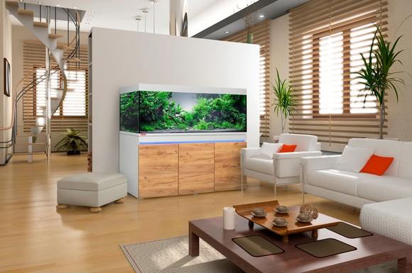 Das perfekte Aquarium – Der ultimative Leitfaden für Einsteiger und Profis