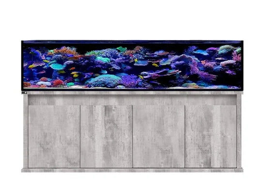 Aquarien