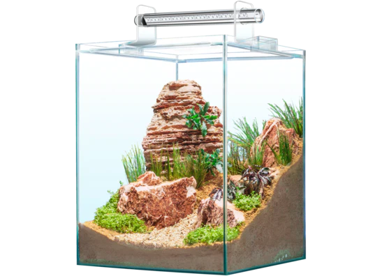Nano Aquarium