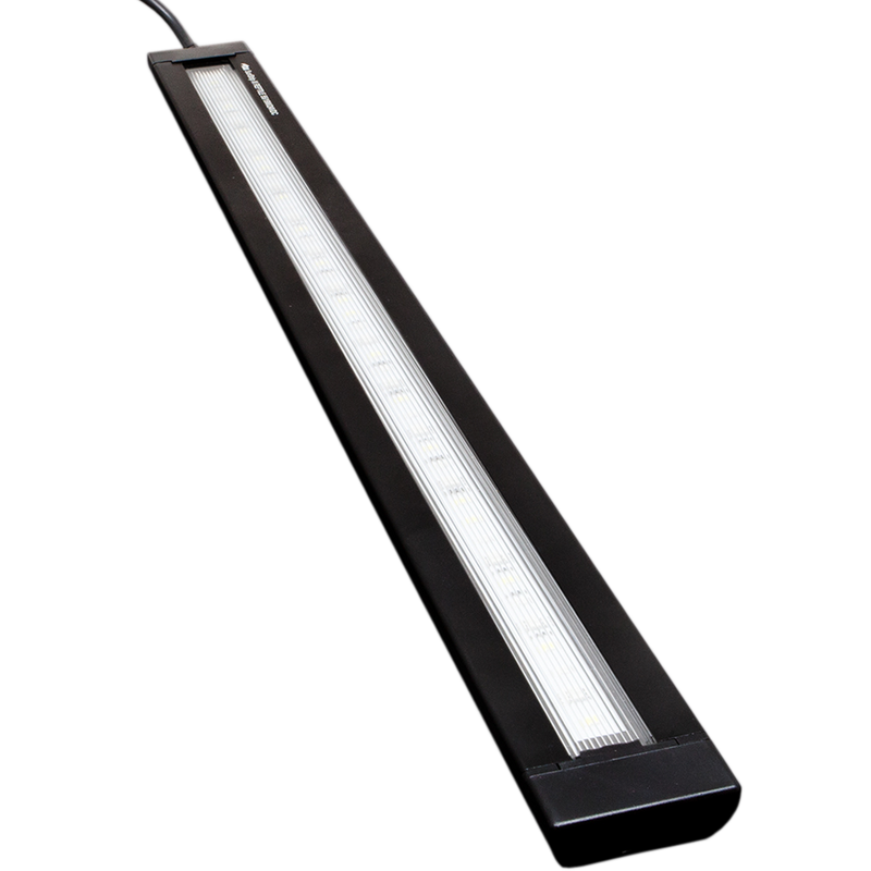 SOLAR RAPTOR SunStrip III 35 REPTILE black edition BUNDLE