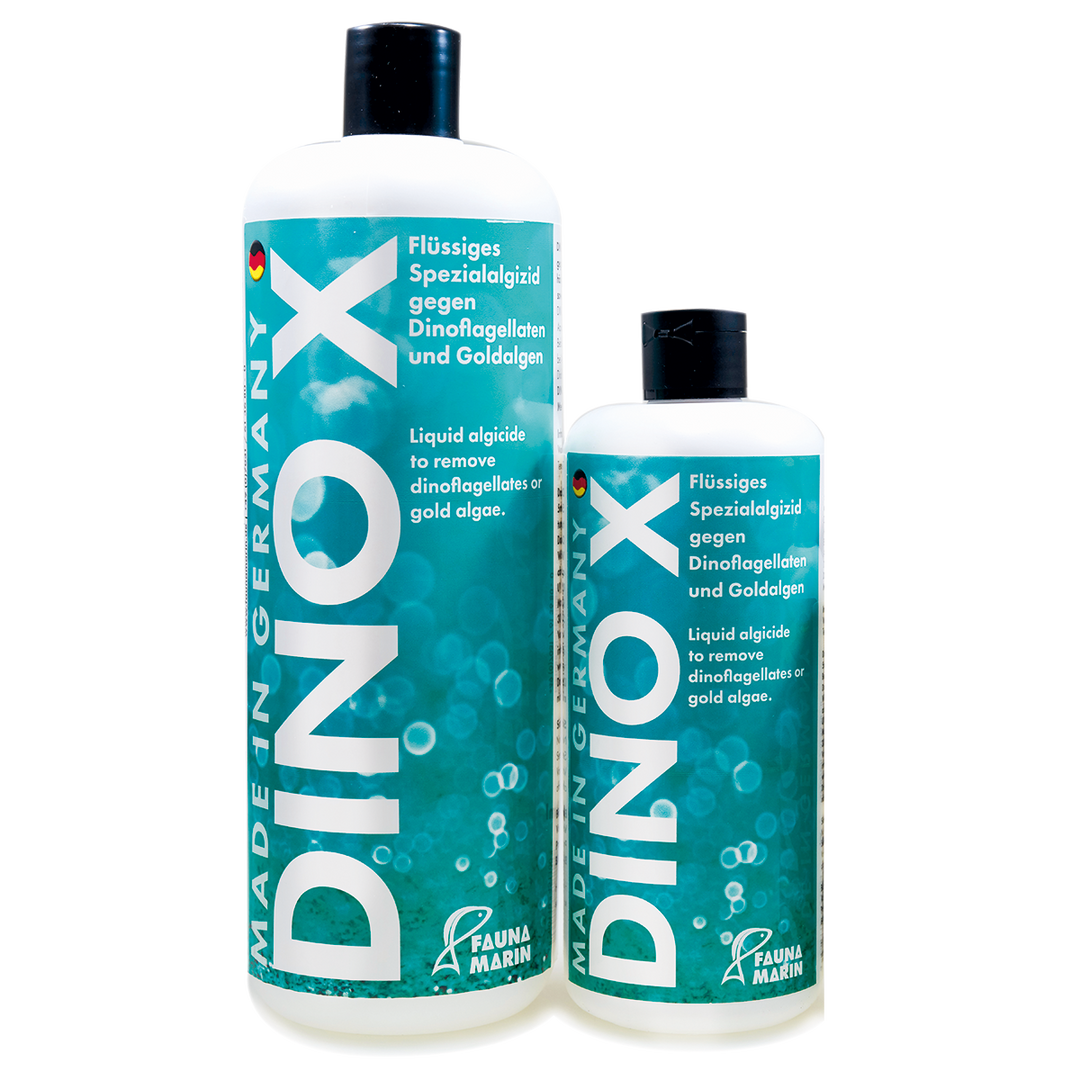 Fauna Marin Dino X