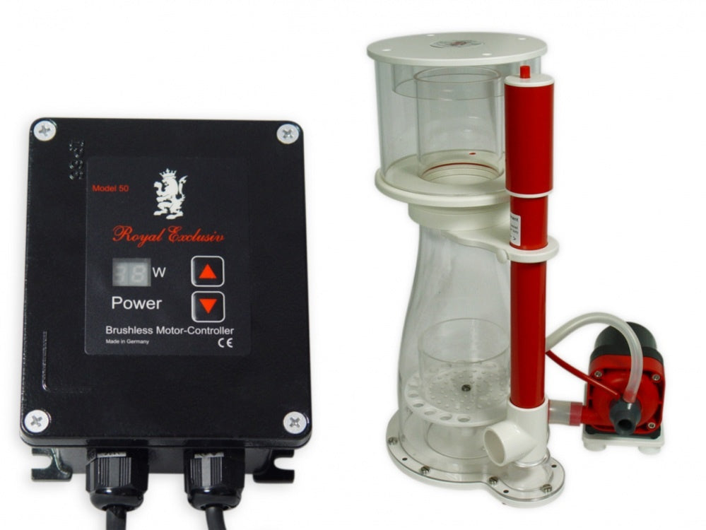 Royal Exklusiv Bubble King® Double Cone 180 + RD3 Speedy