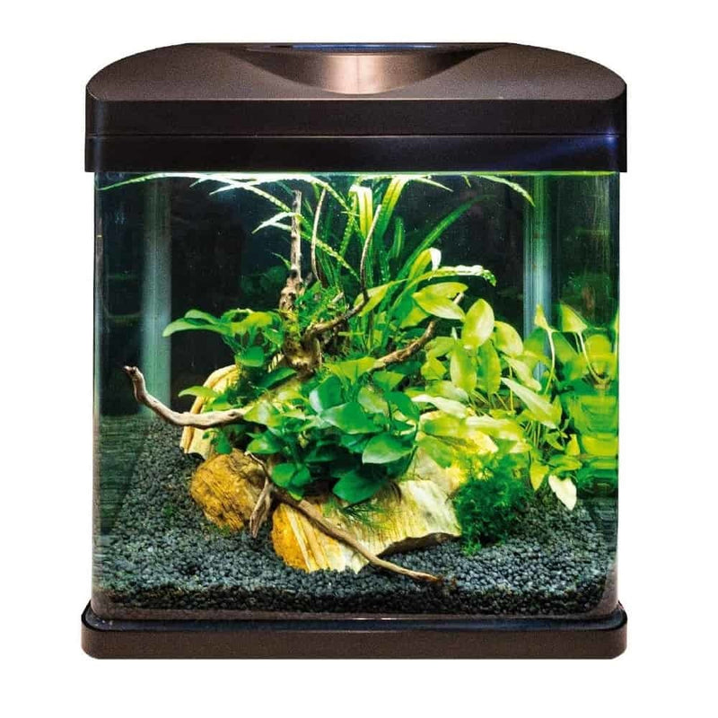 AMTRA LAGUNA 30-LED