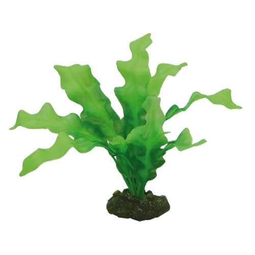 Hobby Echinodrus 20cm Kunststoffpflanze