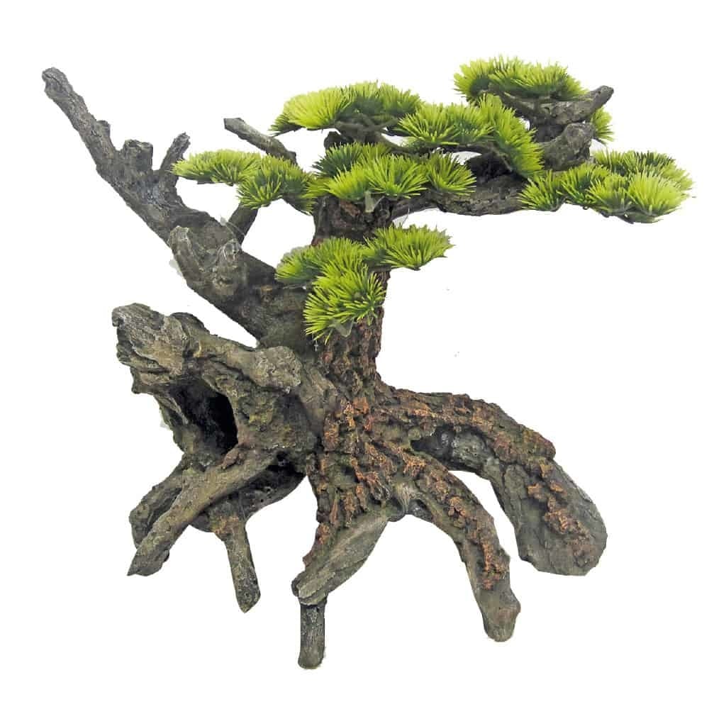 AMTRA JAPAN-BONSAI
