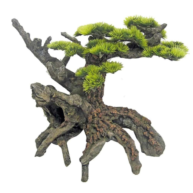 AMTRA JAPAN-BONSAI