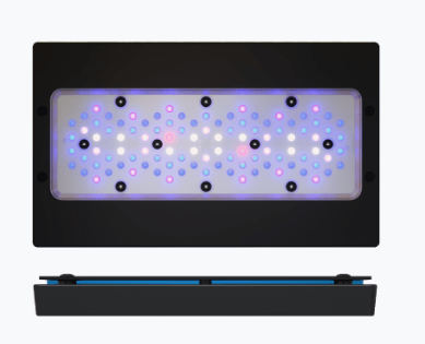 Ecotech RADION® XR30 G6 BLAU