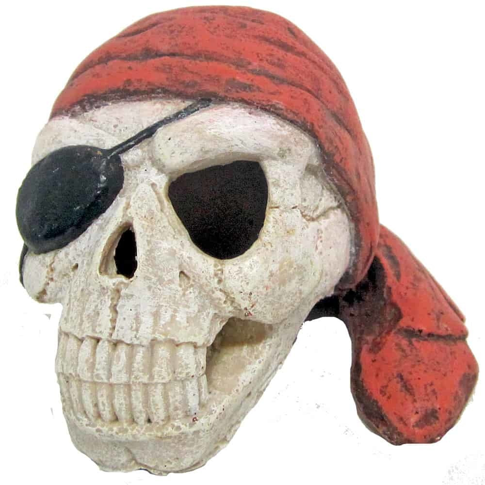AMTRA PIRATENSCHÄDEL MIT VERBAND