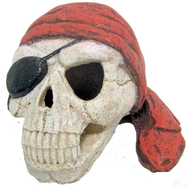 AMTRA PIRATENSCHÄDEL MIT VERBAND