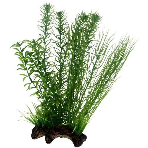 Hobby Flora Root 2, L 30 cm Kunstpflanze