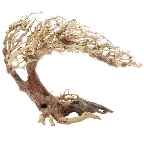 Dupla Crooked Root L (40 x 20 x 30 cm)