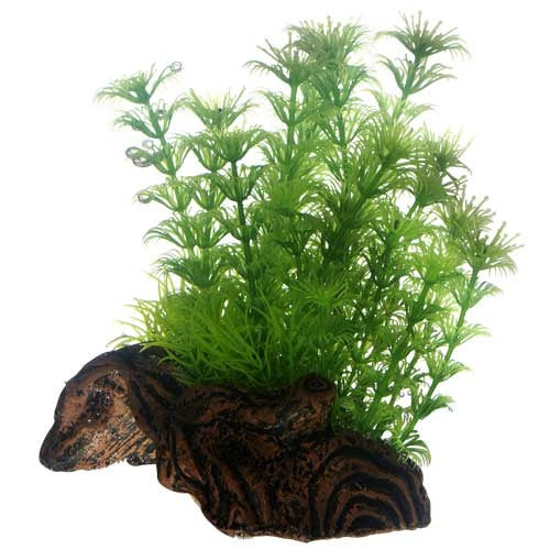 Hobby Flora Root 3, S 17 cm Kunstpflanze