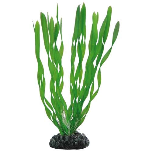 Hobby Vallisneria 20cm Kunststoffpflanze