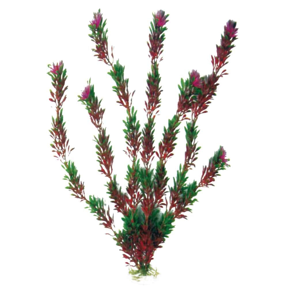 Amtra Flora Bicolour LG 23cm Kunstpflanze