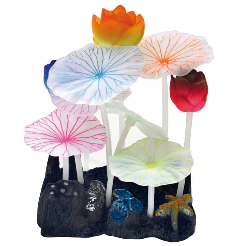 AMTRA FLUO REEF LOTUS WEISS