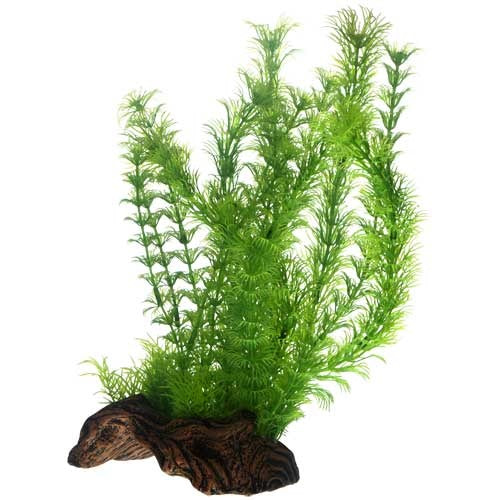 Hobby Flora Root 3, L 30 cm Kunstpflanze