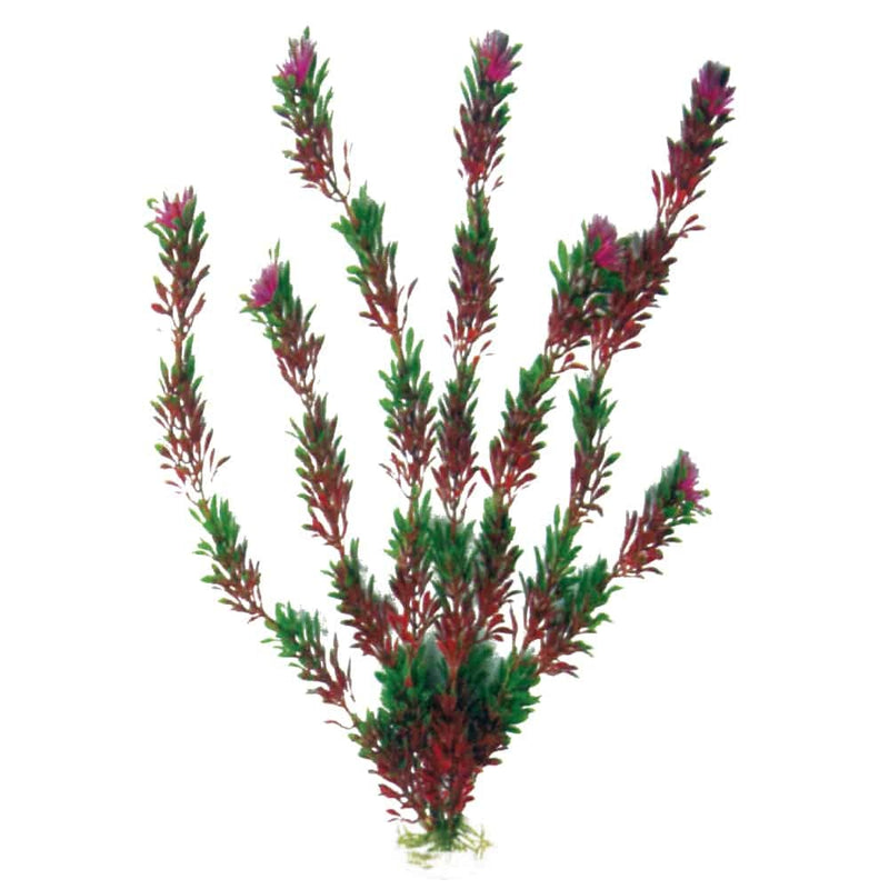 Amtra Flora Bicolour MD 17cm Kunstpflanze