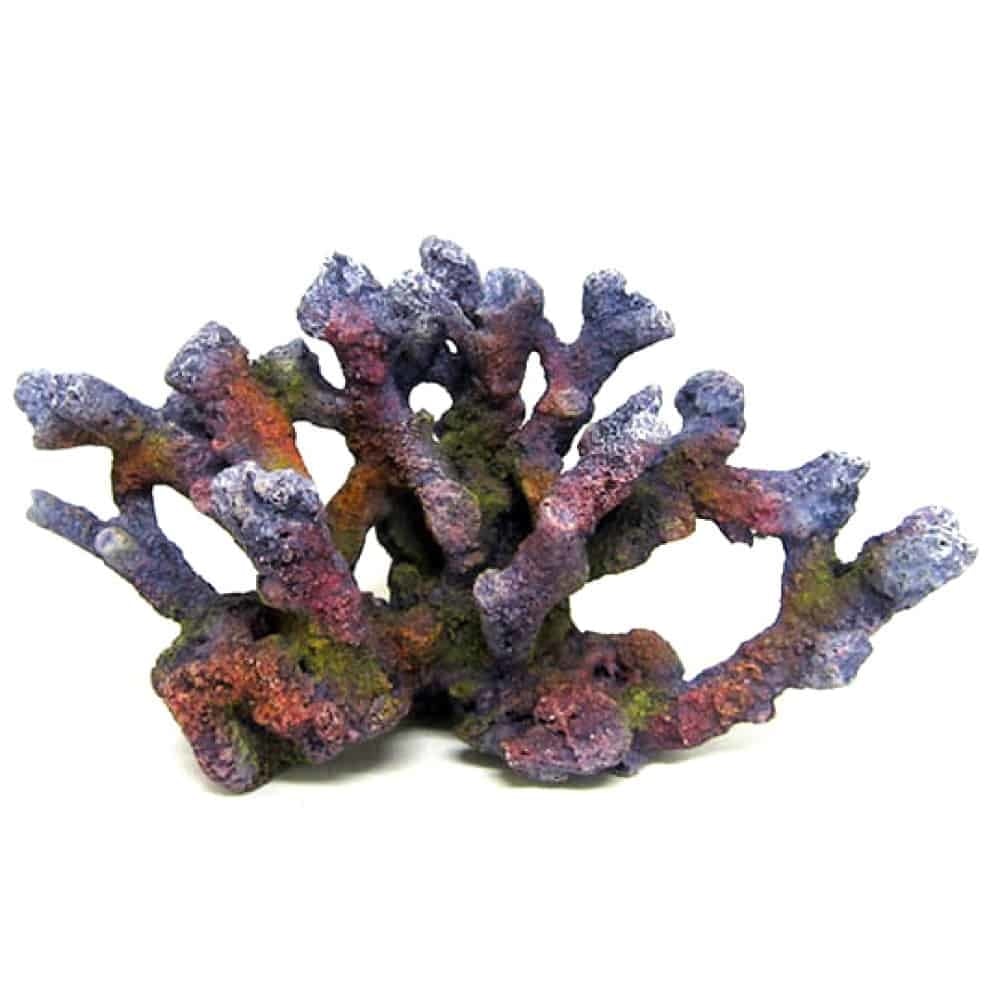 AMTRA REEF ROCK BRANCH SERIE MD 1