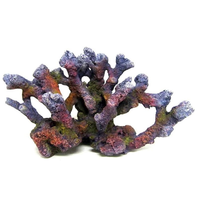AMTRA REEF ROCK BRANCH SERIE MD 1