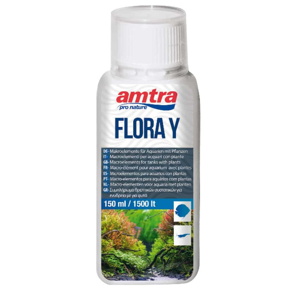 AMTRA FLORA Y