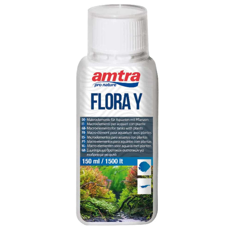 AMTRA FLORA Y
