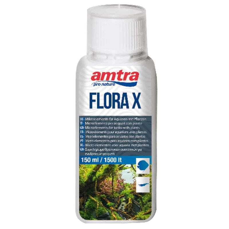 AMTRA FLORA X