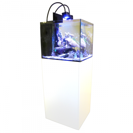 Aqua Medic Cubicus CF Qube