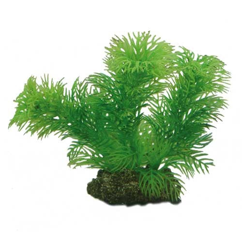 Hobby Egeria  13cm Kunststoffpflanze