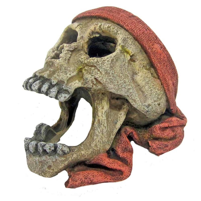 AMTRA PIRATENSCHÄDEL MIT BANDANA