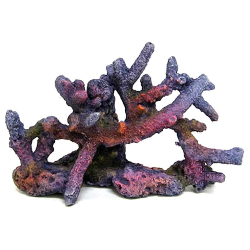 AMTRA REEF ROCK BRANCH SERIE SM 1