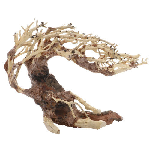 Dupla Crooked Root S (23 x 10 x 17 cm)