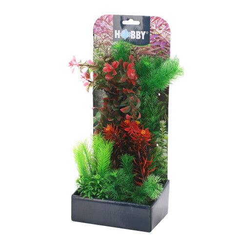Hobby Plantasy Set 3