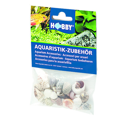 Hobby Sea Shells Set S