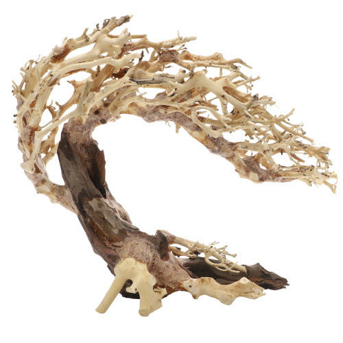 Dupla Crooked Root M (30 x 13 x 23 cm)