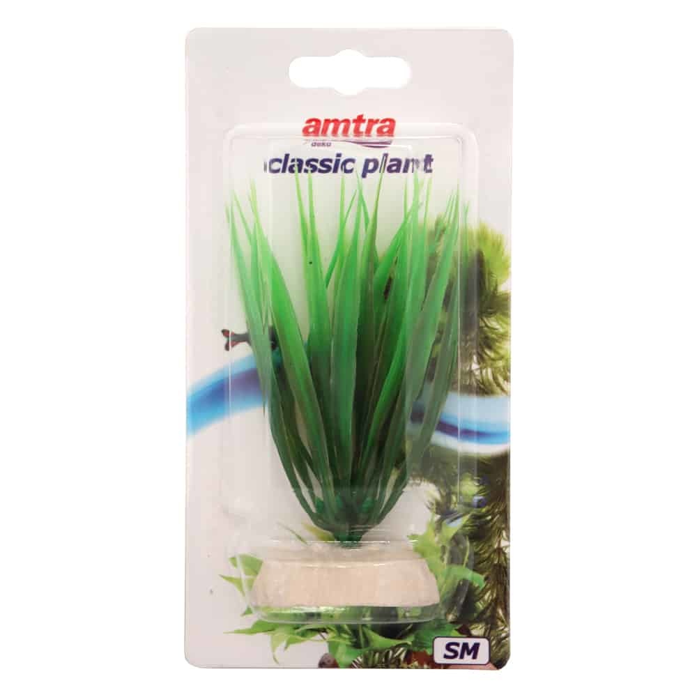 AMTRA PFLANZE KLASSISCHER BAMBUS