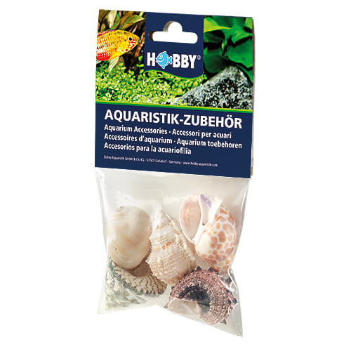 Hobby Sea Shells Set L