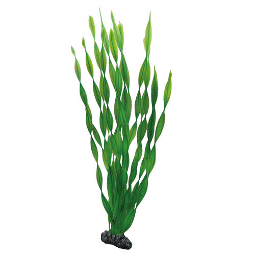 Hobby Vallisneria 46cm Kunststoffpflanze