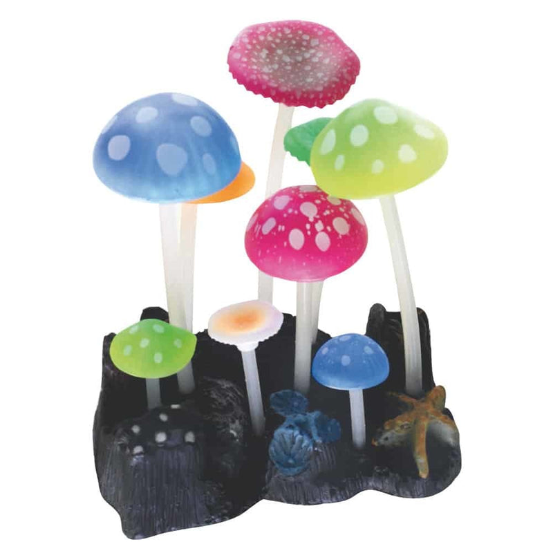 AMTRA FLUO REEF PILZE