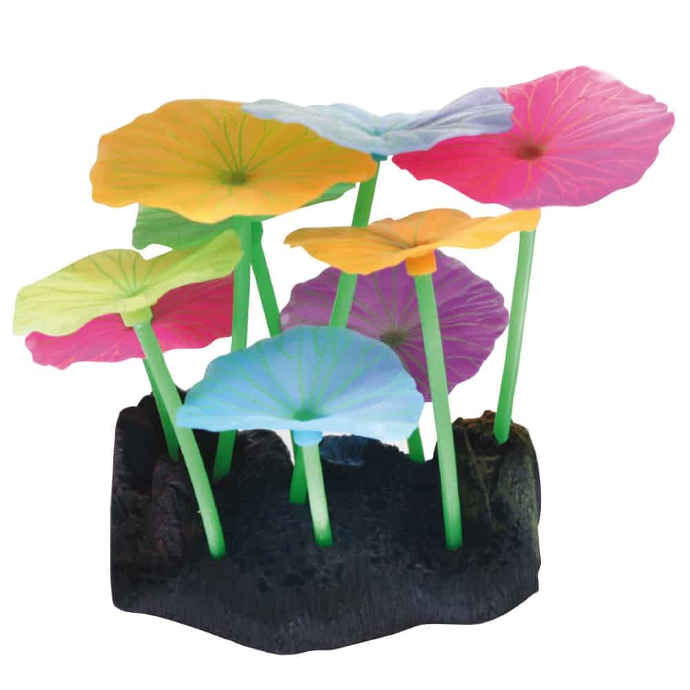 AMTRA FLUO REEF LOTUS FARBE