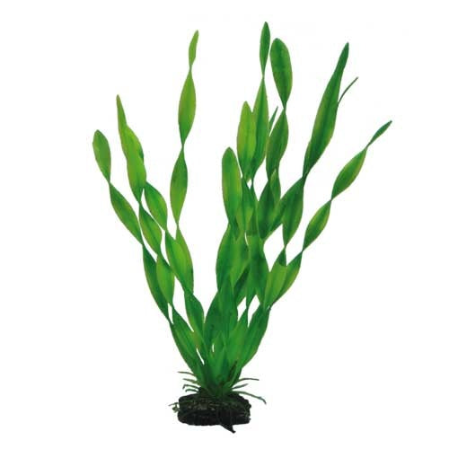 Hobby Vallisneria 34cm Kunststoffpflanze