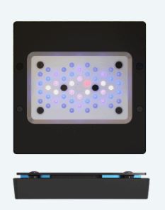 Ecotech RADION® XR15 G6 BLAU