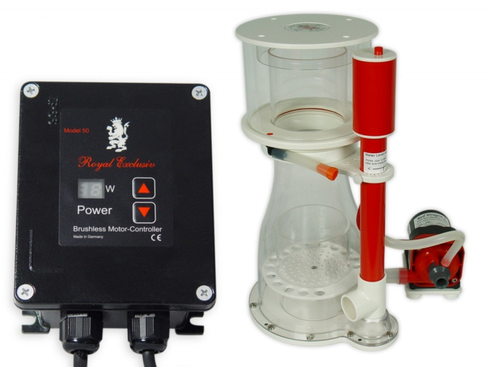 Royal Exklusiv Bubble King® Double Cone 200 + RD3 Speedy