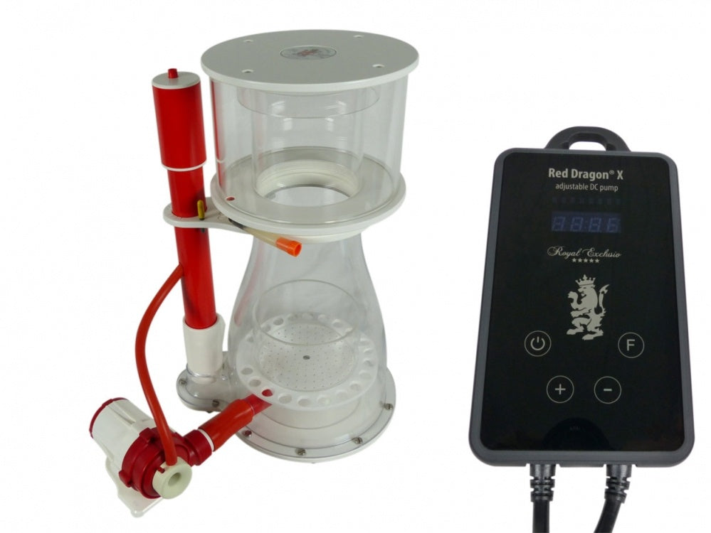 Royal Exklusiv Bubble King® Double Cone 250 + RDX DC 24V