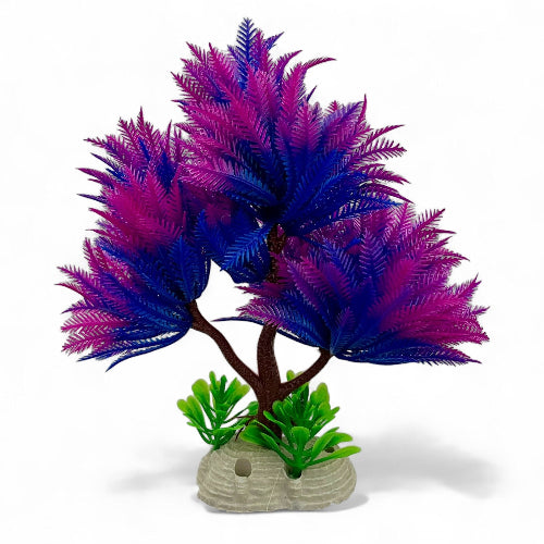 Bonsai lila